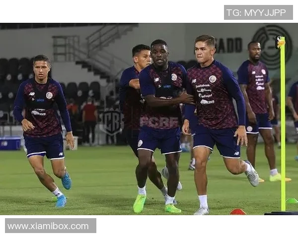 上海足球队状态火热领跑最新TOP10球队榜单分析