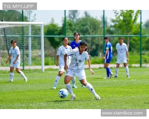 江西萍乡足球明星的崛起与成就探秘，谁是这座城市的骄傲与希望
